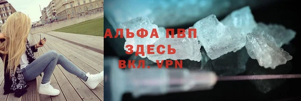 шишки Абаза