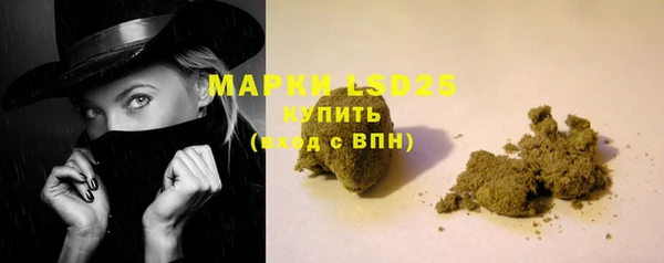ГАЛЛЮЦИНОГЕННЫЕ ГРИБЫ Алексин