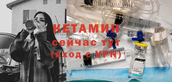 шишки Абаза