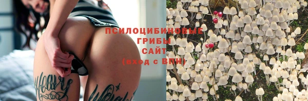 ГАЛЛЮЦИНОГЕННЫЕ ГРИБЫ Алексин