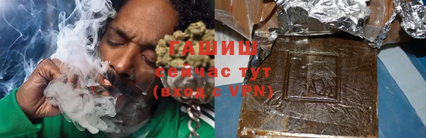 шишки Абаза