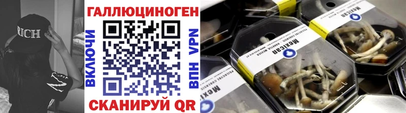 кракен   Вилюйск  Псилоцибиновые грибы Psilocybine cubensis 